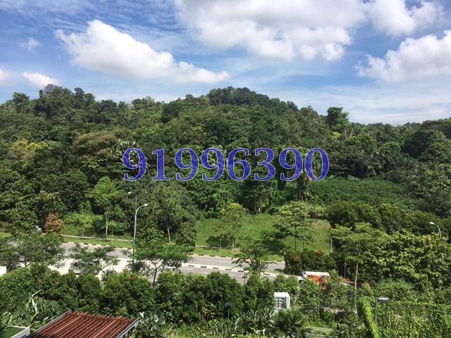 The Skywoods (D23), Condominium #162551892